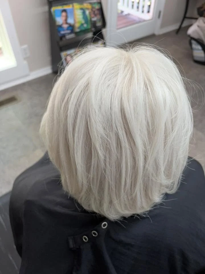 Silver hairstyle back view